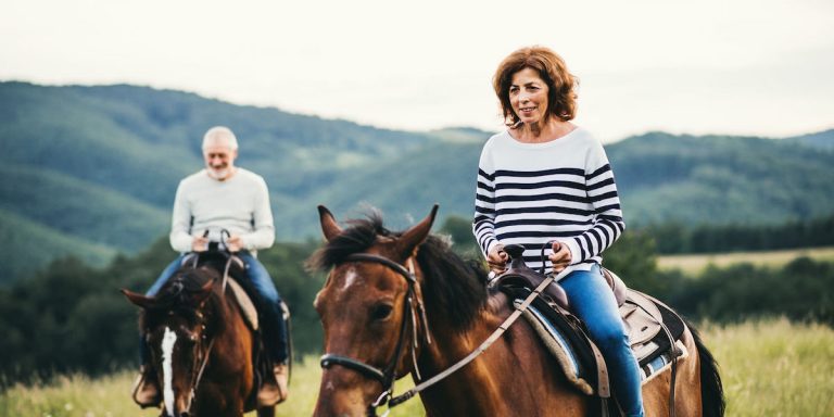 Enjoy Through Favorite Amusing Factors