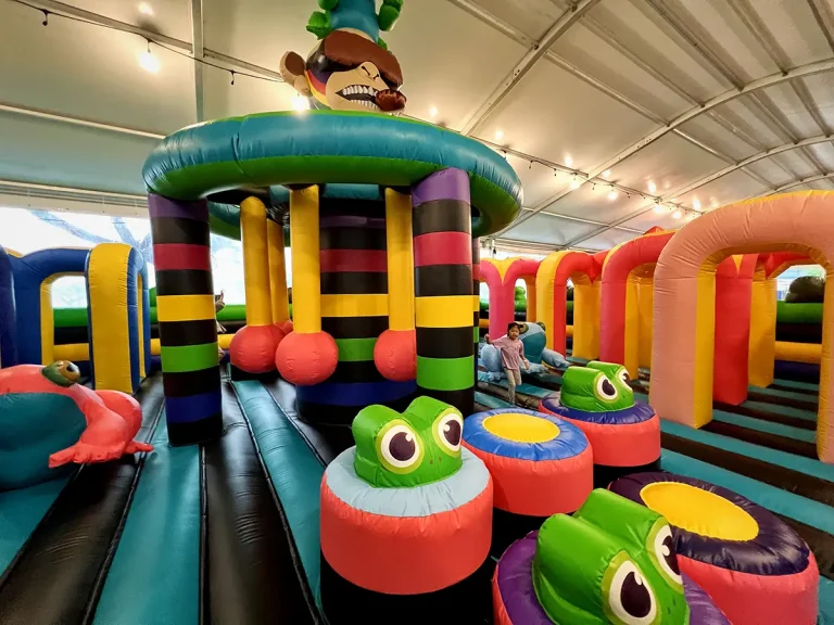 Find the best bouncy castle in Singapore for your kid's birthday party.